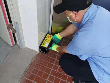 嘉禾杀虫灭鼠机构厂区车间、配电房怎么灭鼠？